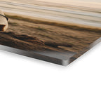 Surfboard Acrylic Wall Art, Coastal Beach Photography Print