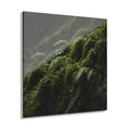 ENCHANTED No. 2 | Forest Element Pack