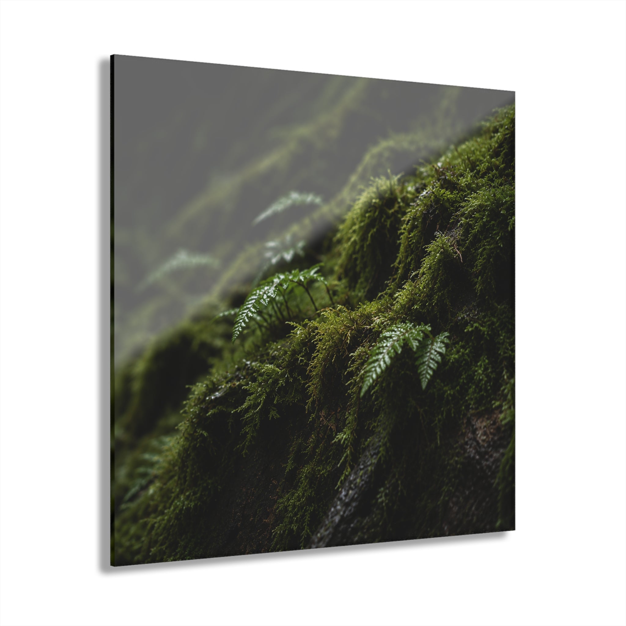 ENCHANTED No. 2 | Forest Element Pack