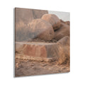 Joshua Tree No. 4 | Element Pack