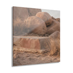 Joshua Tree No. 4 | Element Pack