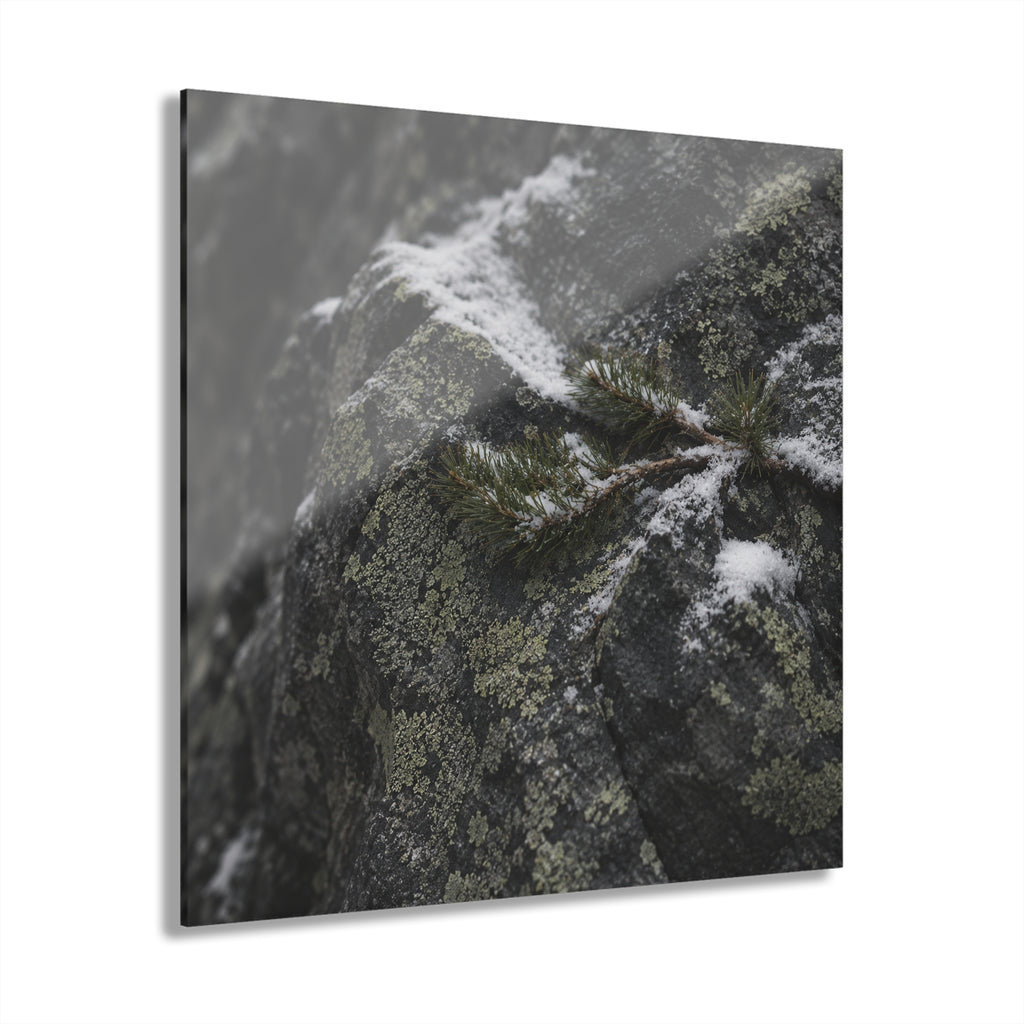 ALPINE No. 1 | Mountain Element Pack
