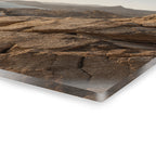 BAJA RELICS No. 2 | Coastal Desert Element Pack