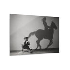 Horse Shadow Acrylic Wall Art, Black and White Childhood Photography, Imagination Print