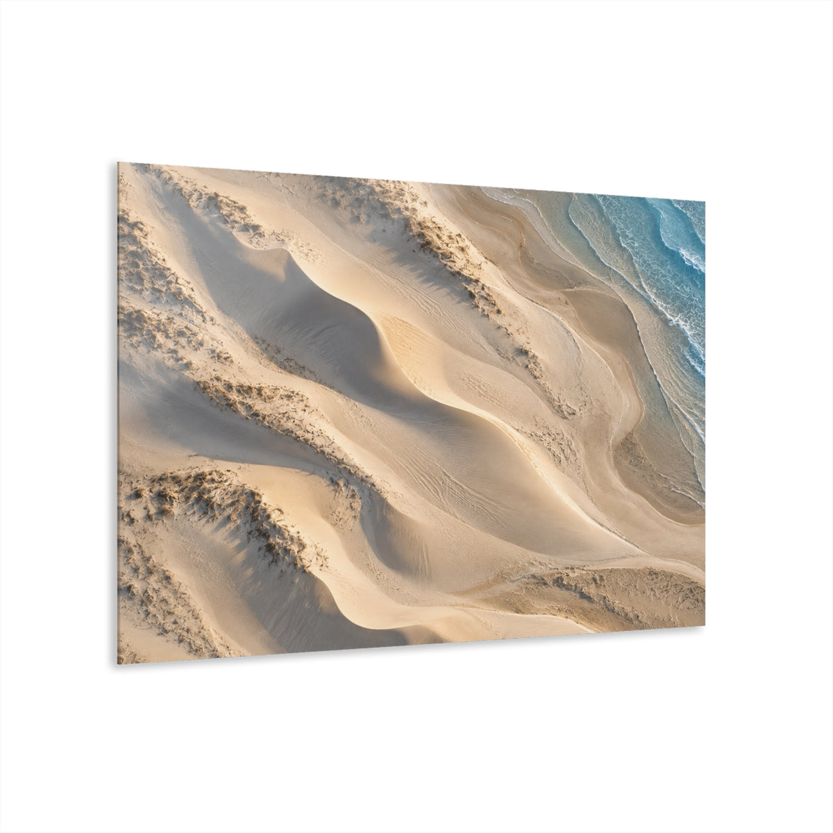 Gilded Dunes | Coastal Abstract