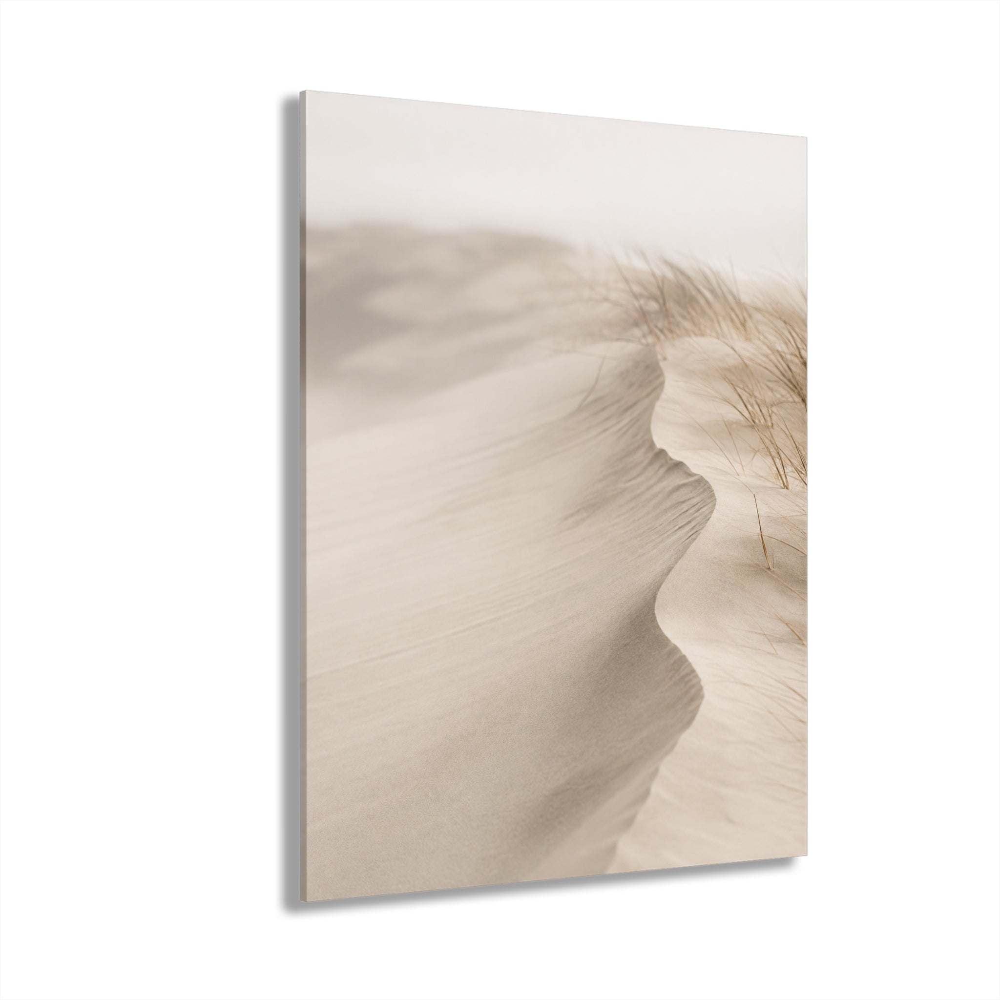 Acrylic Print - Neutral Beach Sand Dune Wall Art (French Cleat Hanging)