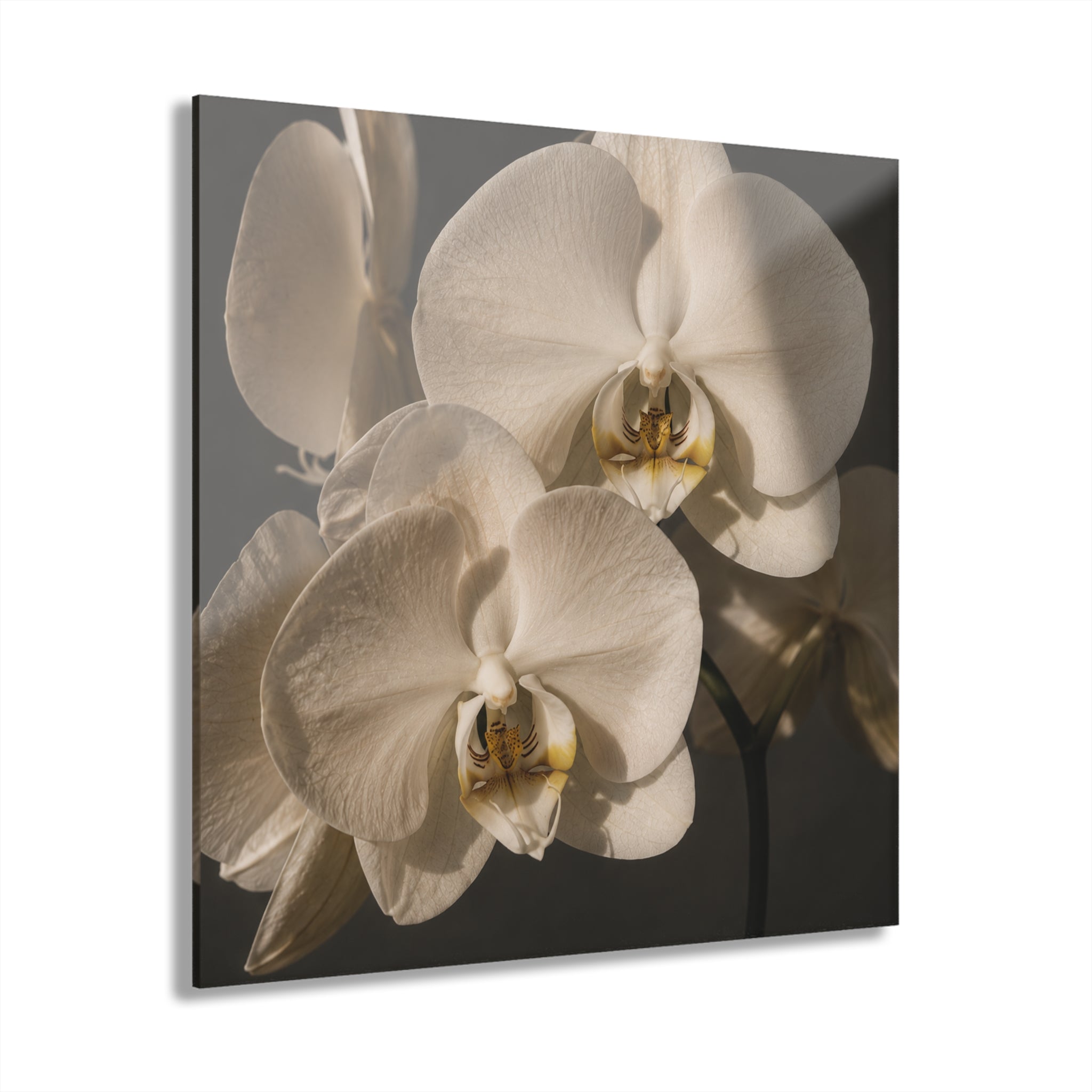 BOTANICA No. 1 | Floral Element Pack