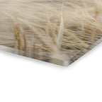 Coastal Dune Grasses Acrylic Print (French Cleat)