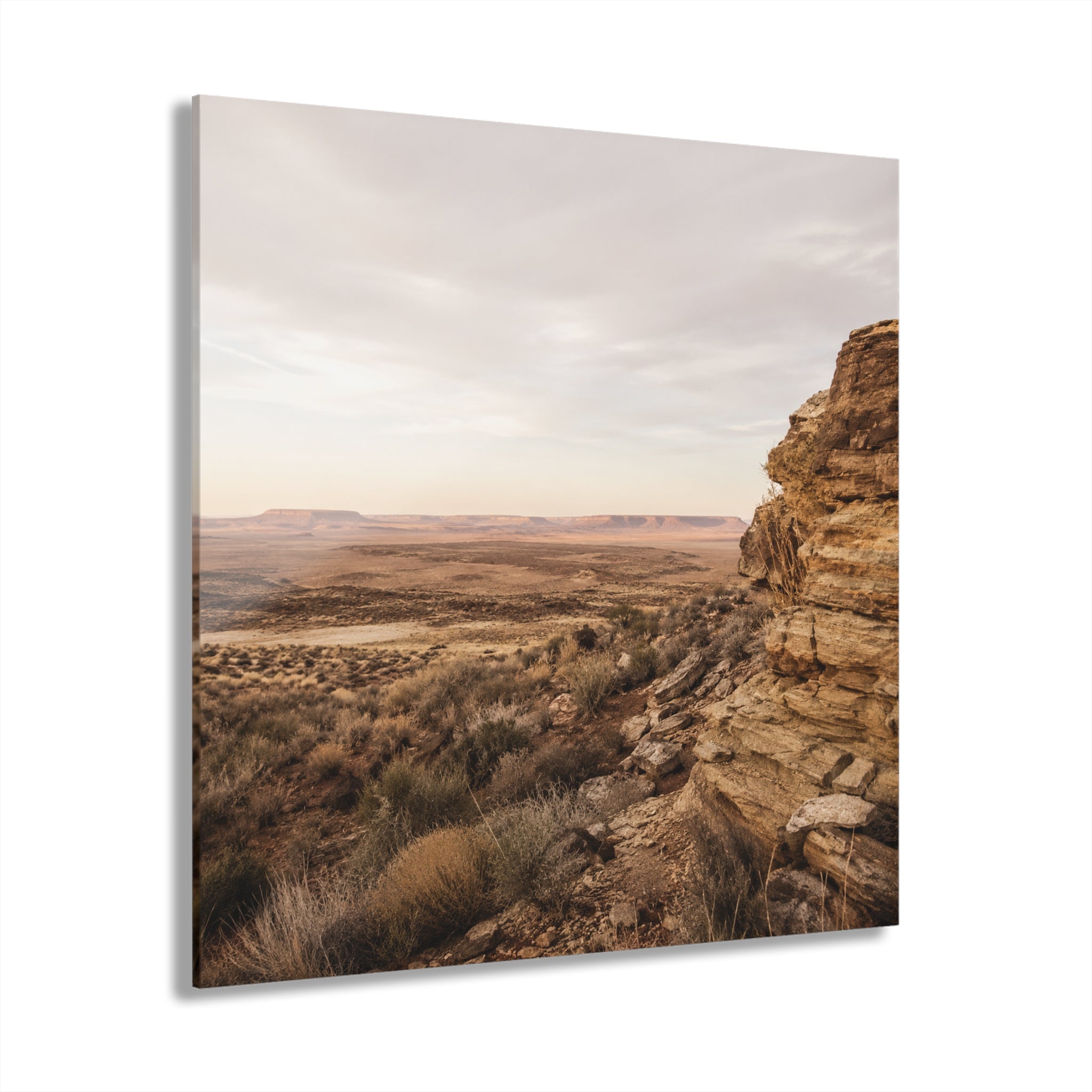 TERRA No. 4| Warm Desert Element Pack