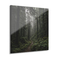 ENCHANTED No. 1 | Forest Element Pack