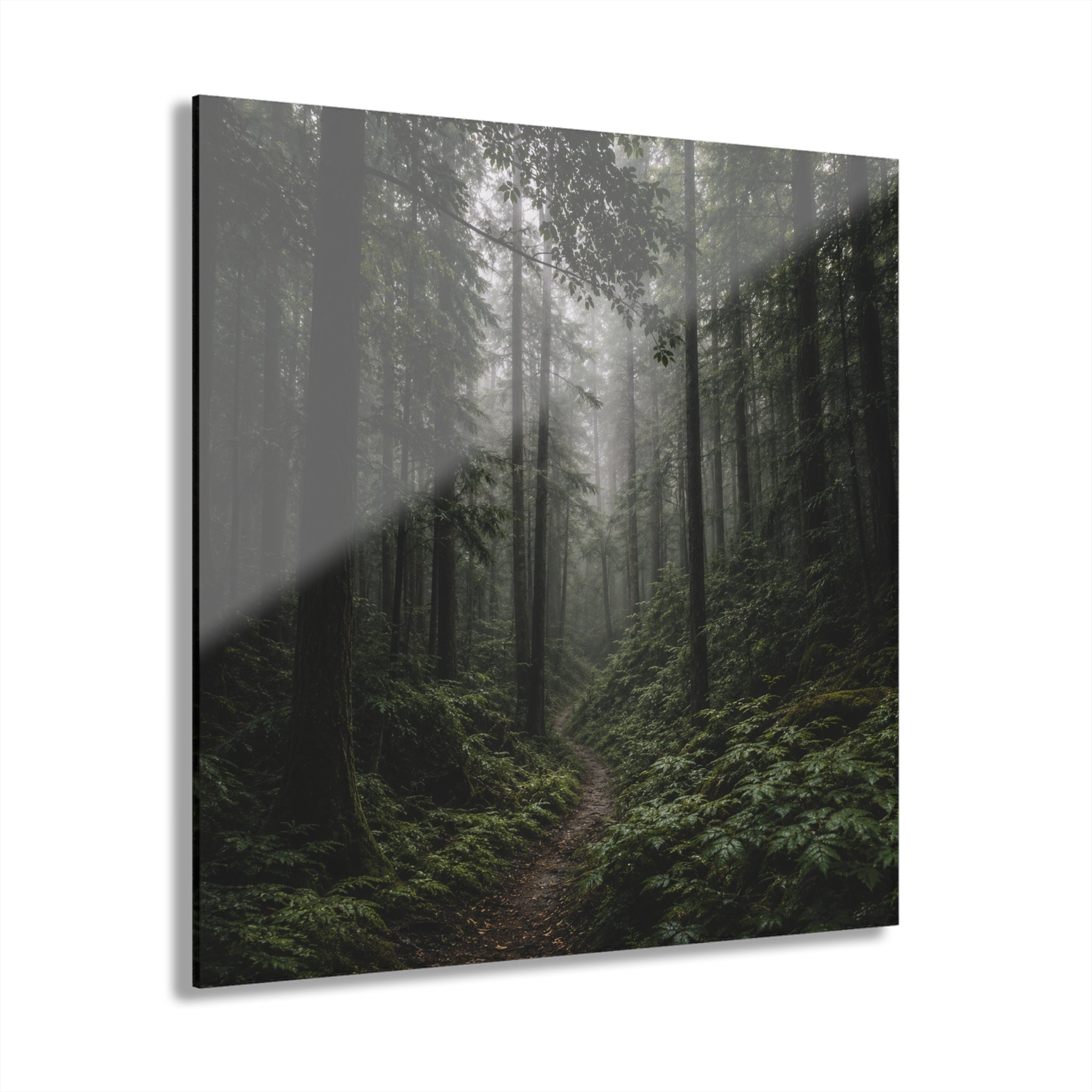 ENCHANTED No. 1 | Forest Element Pack