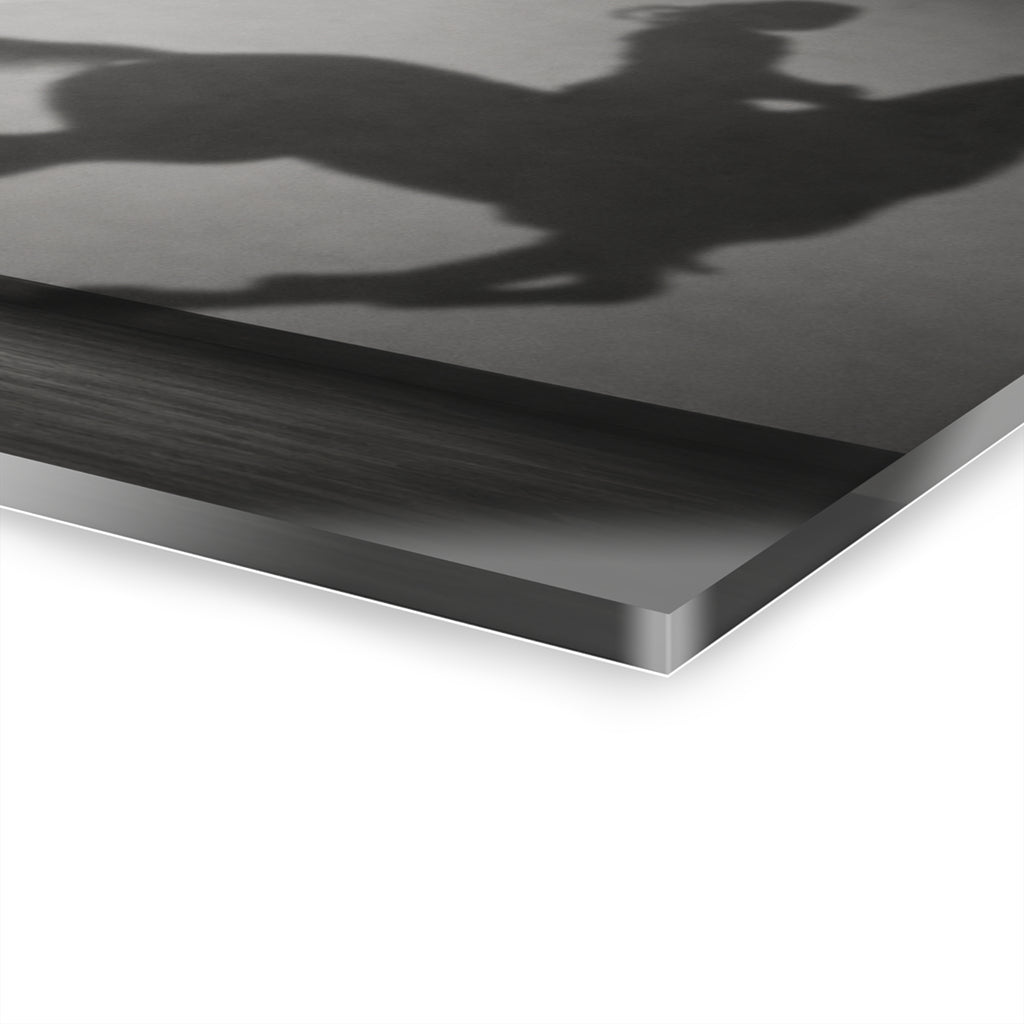 Horse Shadow Acrylic Wall Art, Black and White Childhood Photography, Imagination Print