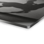 Horse Shadow Acrylic Wall Art, Black and White Childhood Photography, Imagination Print
