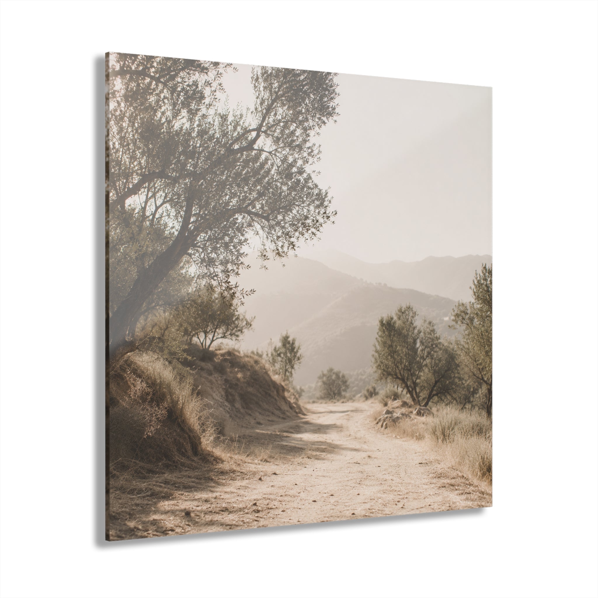 Ojai No. 2