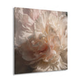BOTANICA No. 4 | Floral Element Pack