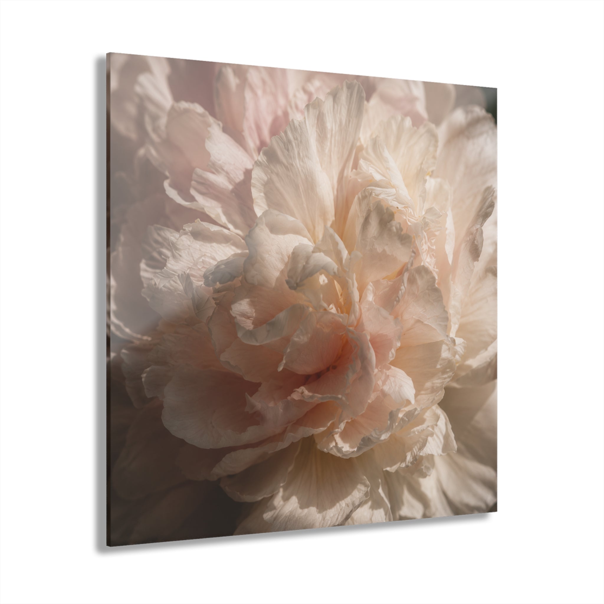 BOTANICA No. 4 | Floral Element Pack