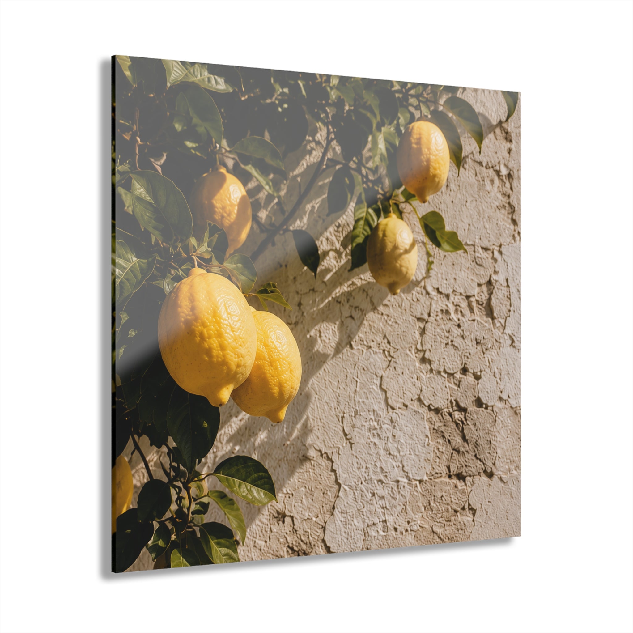 Amalfi / Mediterranean No. 4