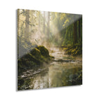 FOREST BATH No.1 | 4-Piece Acrylic Forest Wall Art Set