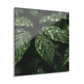 RAIN GARDEN No. 1 | 4-Piece Acrylic Botanical Wall Art Set