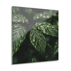 RAIN GARDEN No. 1 | 4-Piece Acrylic Botanical Wall Art Set