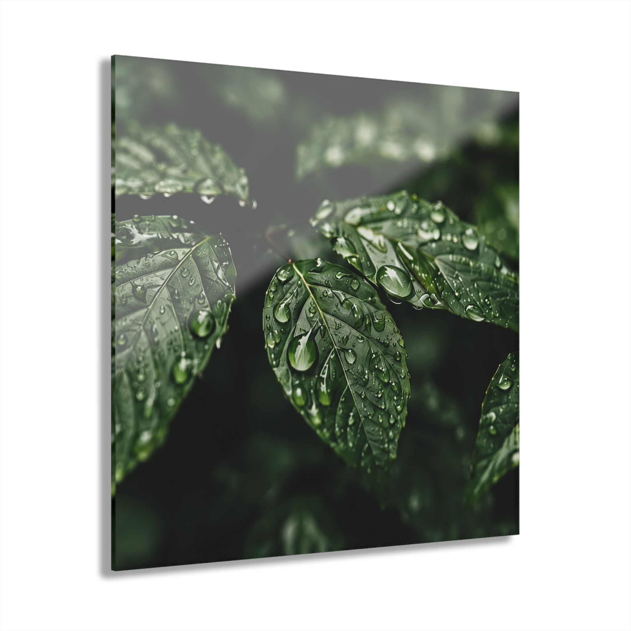 RAIN GARDEN No. 1 | 4-Piece Acrylic Botanical Wall Art Set