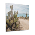 BAJA RELICS No. 3 | Coastal Desert Element Pack
