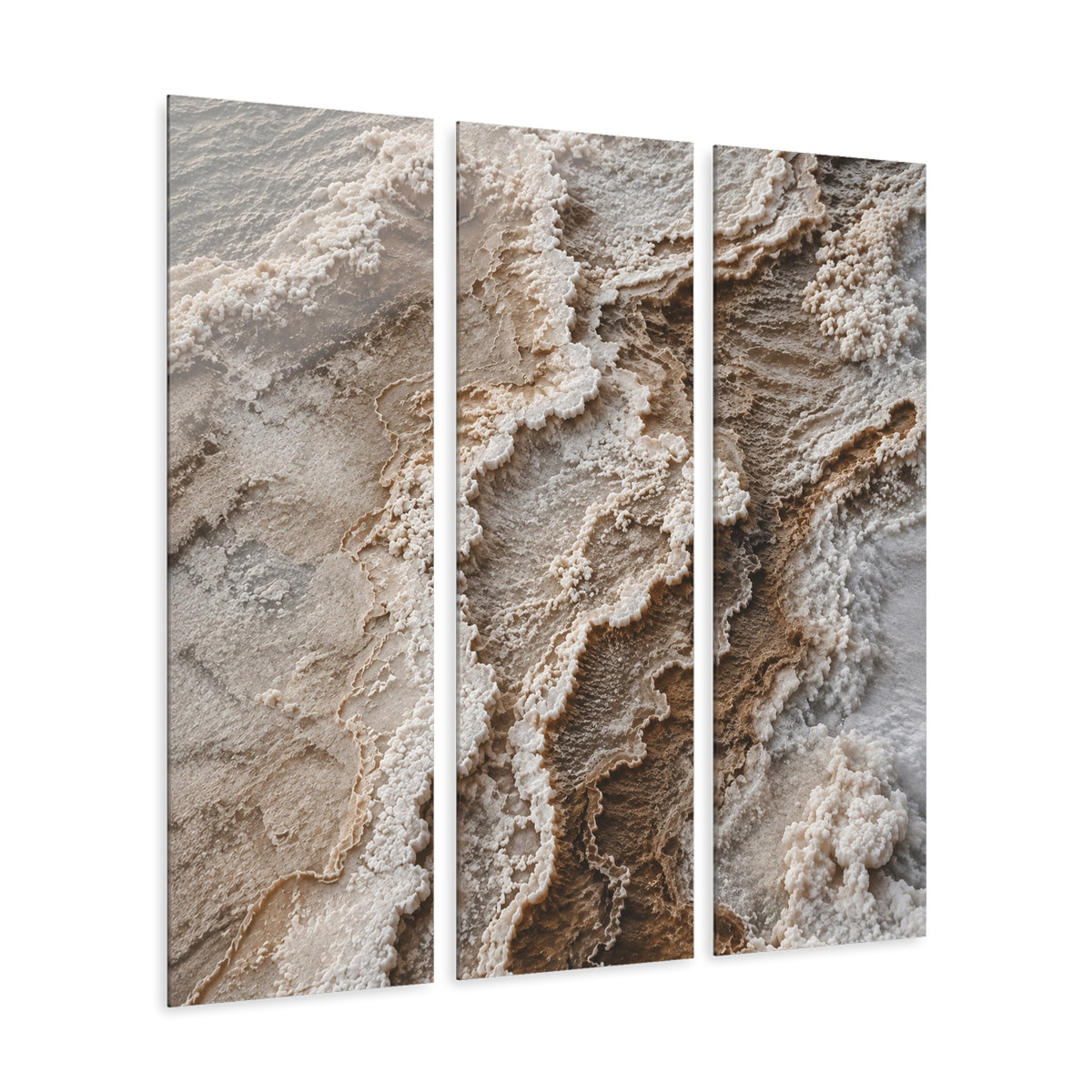 Salt Bloom | Split Acrylic Triptych