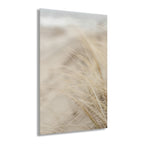 Coastal Dune Grasses Acrylic Print (French Cleat)