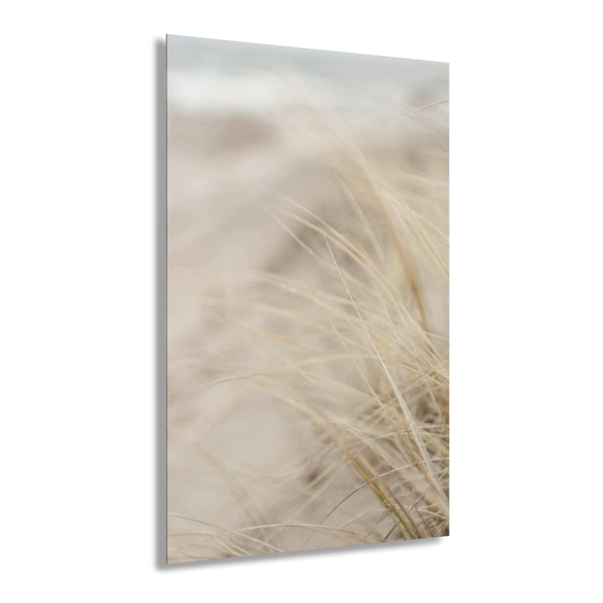 Coastal Dune Grasses Acrylic Print (French Cleat)