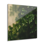 RAIN GARDEN No. 3 | 4-Piece Acrylic Botanical Wall Art Set