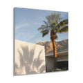 PALM SPRINGS No. 4 | Desert Modern Element Pack