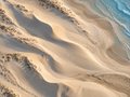 Gilded Dunes | Coastal Abstract