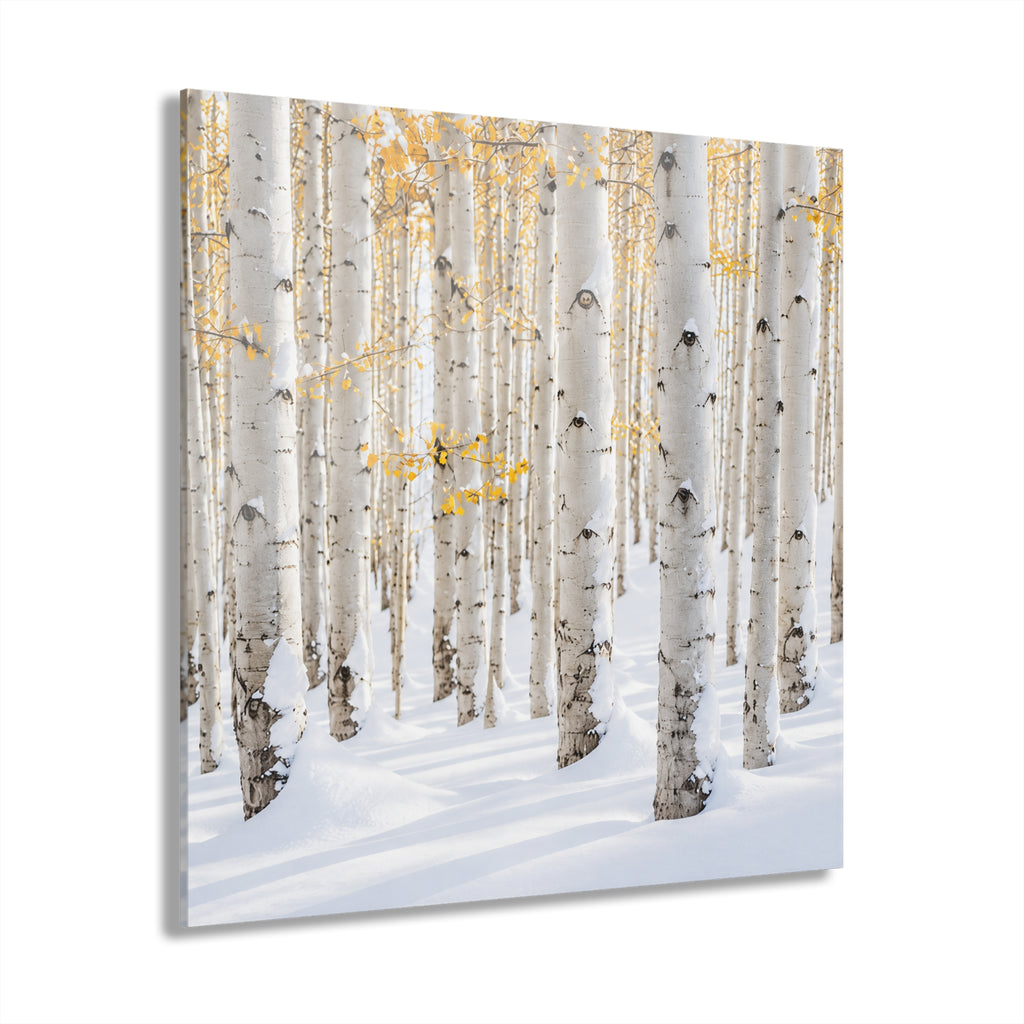ASPEN No. 3 | 4-Piece Acrylic Winter Wall Art Set