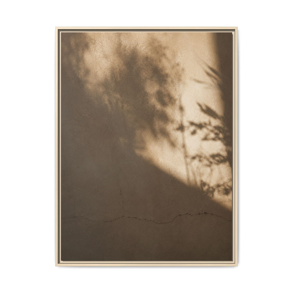 Shadow Dance No. 2 | Framed Canvas Art