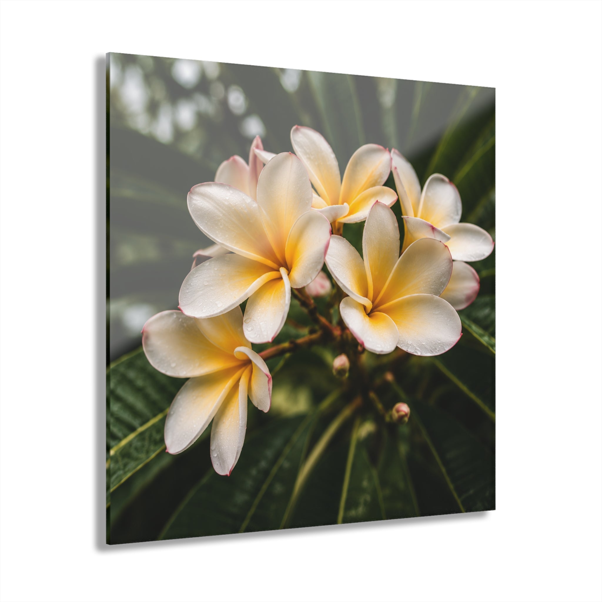 Island Mist No. 3 | 4-Piece Hawaii Wall Art Set