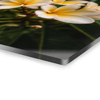 Island Mist No. 3 | 4-Piece Hawaii Wall Art Set