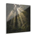 ENCHANTED No. 4 | Forest Element Pack