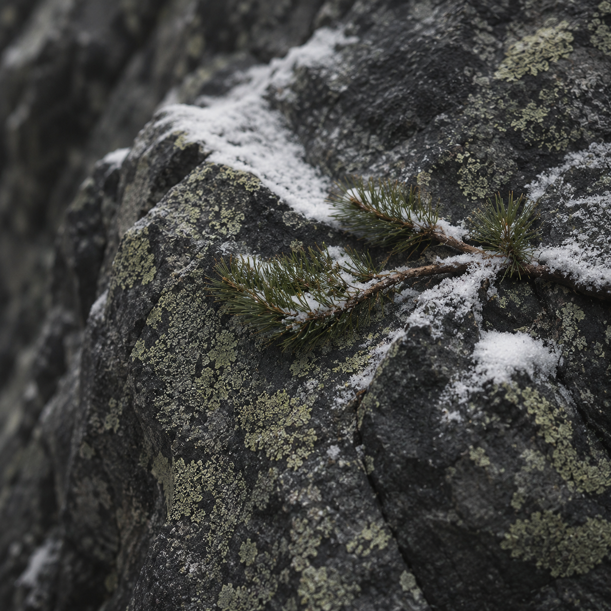 ALPINE | Mountain Element Pack