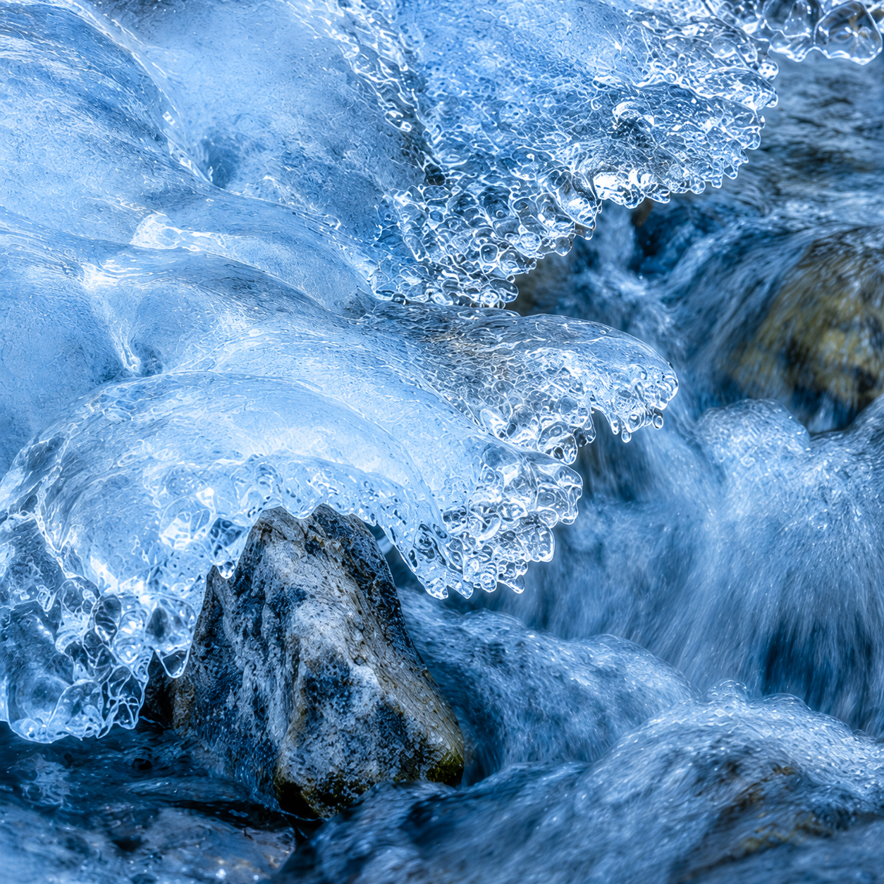ASPEN | 4-Piece Acrylic Winter Wall Art Set