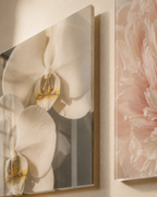 BOTANICA | Floral Element Pack