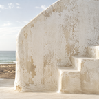 BAJA RELICS | Coastal Desert Element Pack