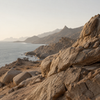 BAJA RELICS | Coastal Desert Element Pack