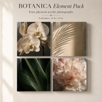 BOTANICA | 4-Piece Acrylic Floral Wall Art Set