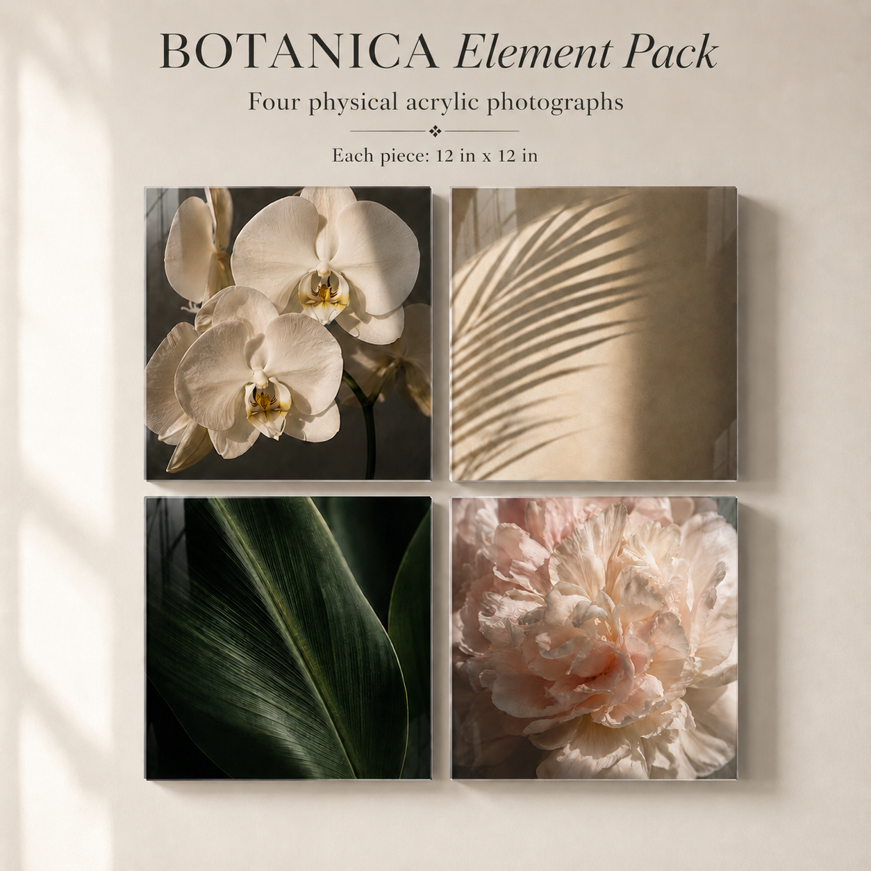 BOTANICA | 4-Piece Acrylic Floral Wall Art Set