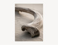 Driftwood Curve | Driftline No. 1