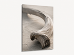Driftwood Curve | Driftline No. 1