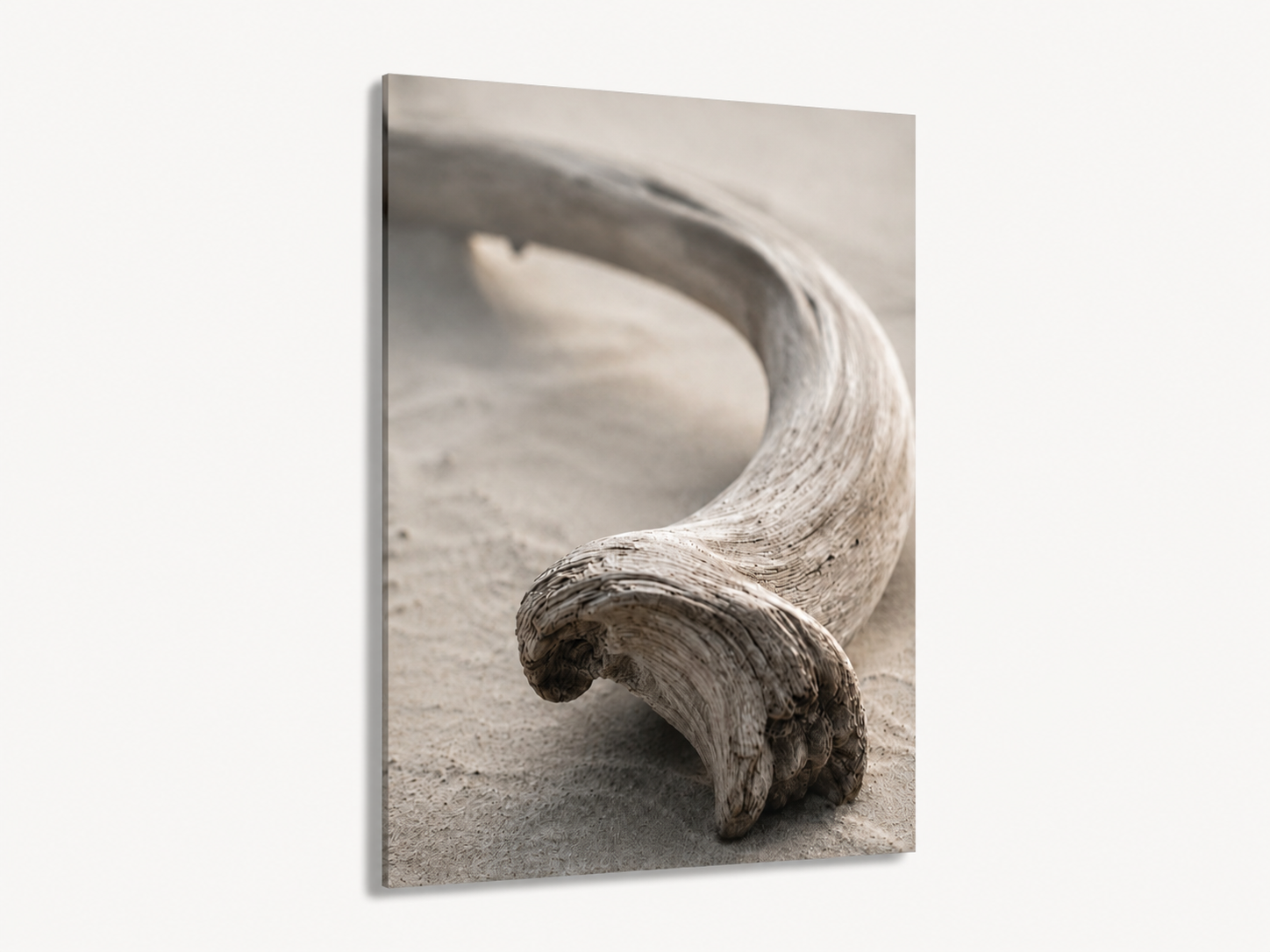 Driftwood Curve | Driftline No. 1