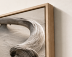 Driftwood Curve | Driftline No. 1
