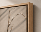 Salt-Worn Reed | Driftline No. 2