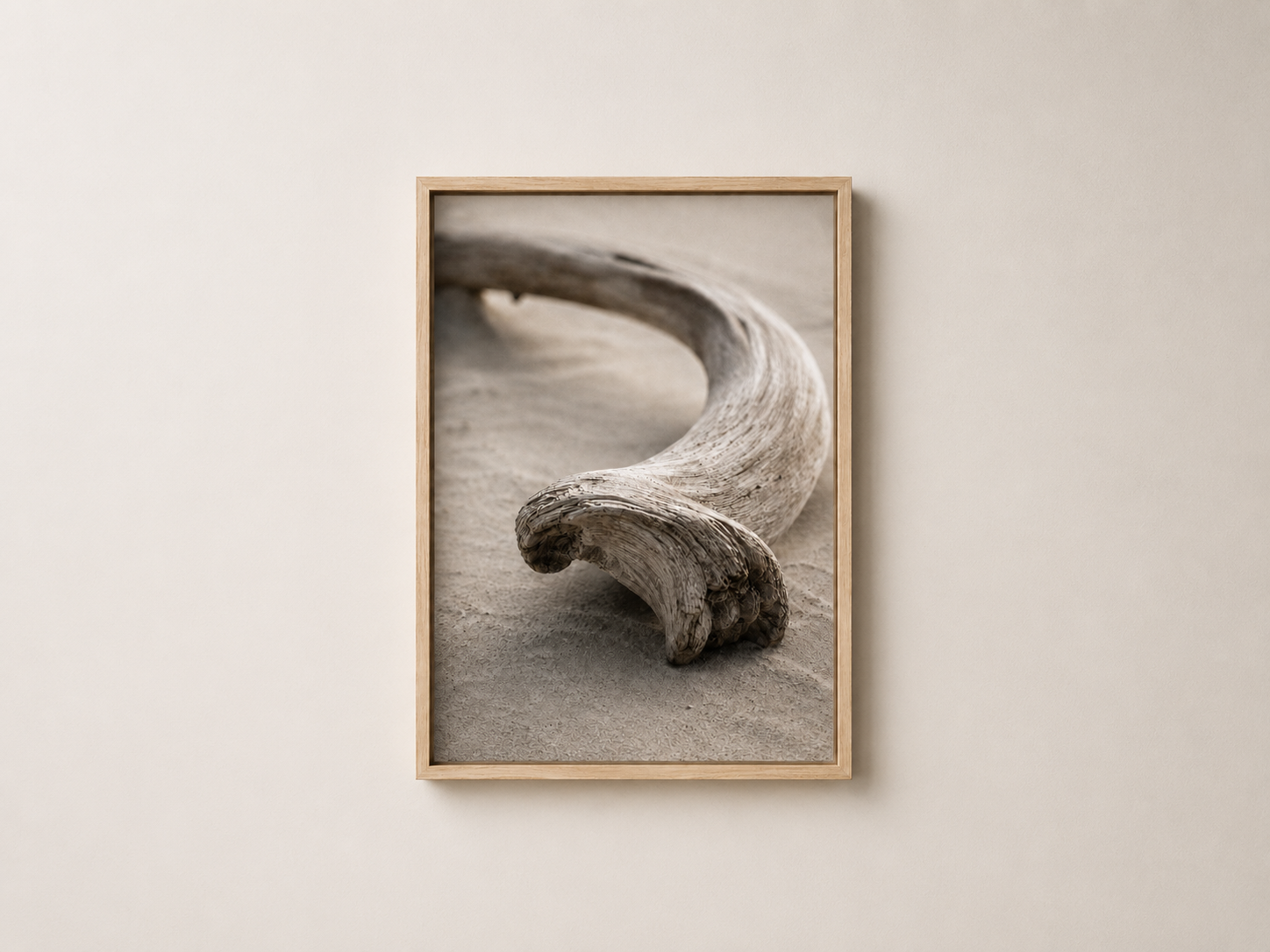 Driftwood Curve | Driftline No. 1